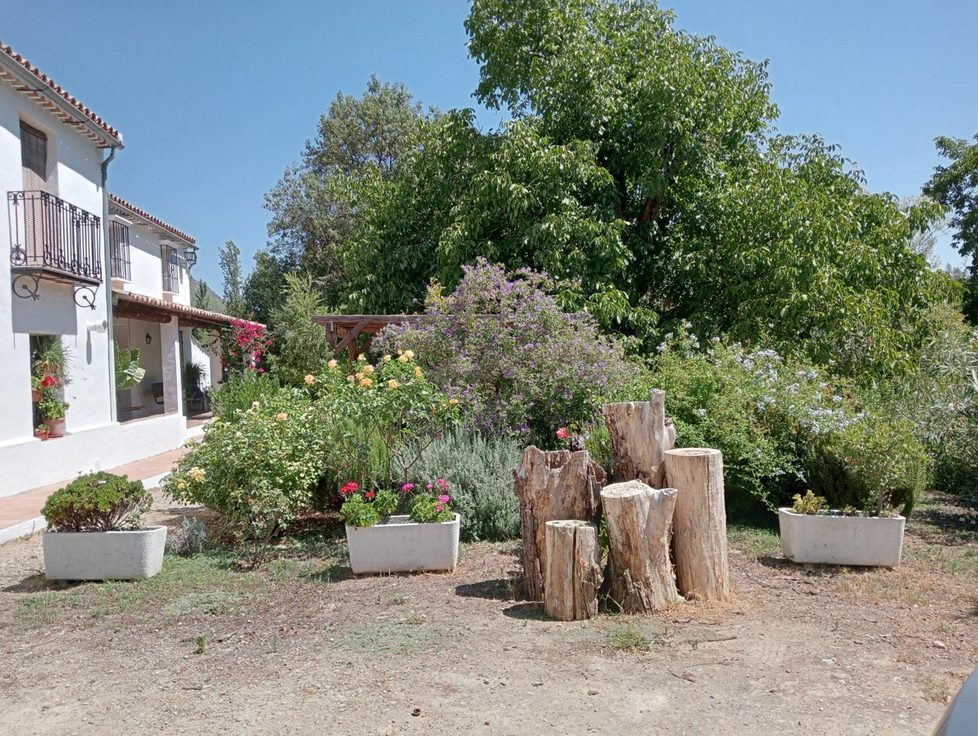 Casa Rural La Maquinilla 格拉茨莱马 外观 照片