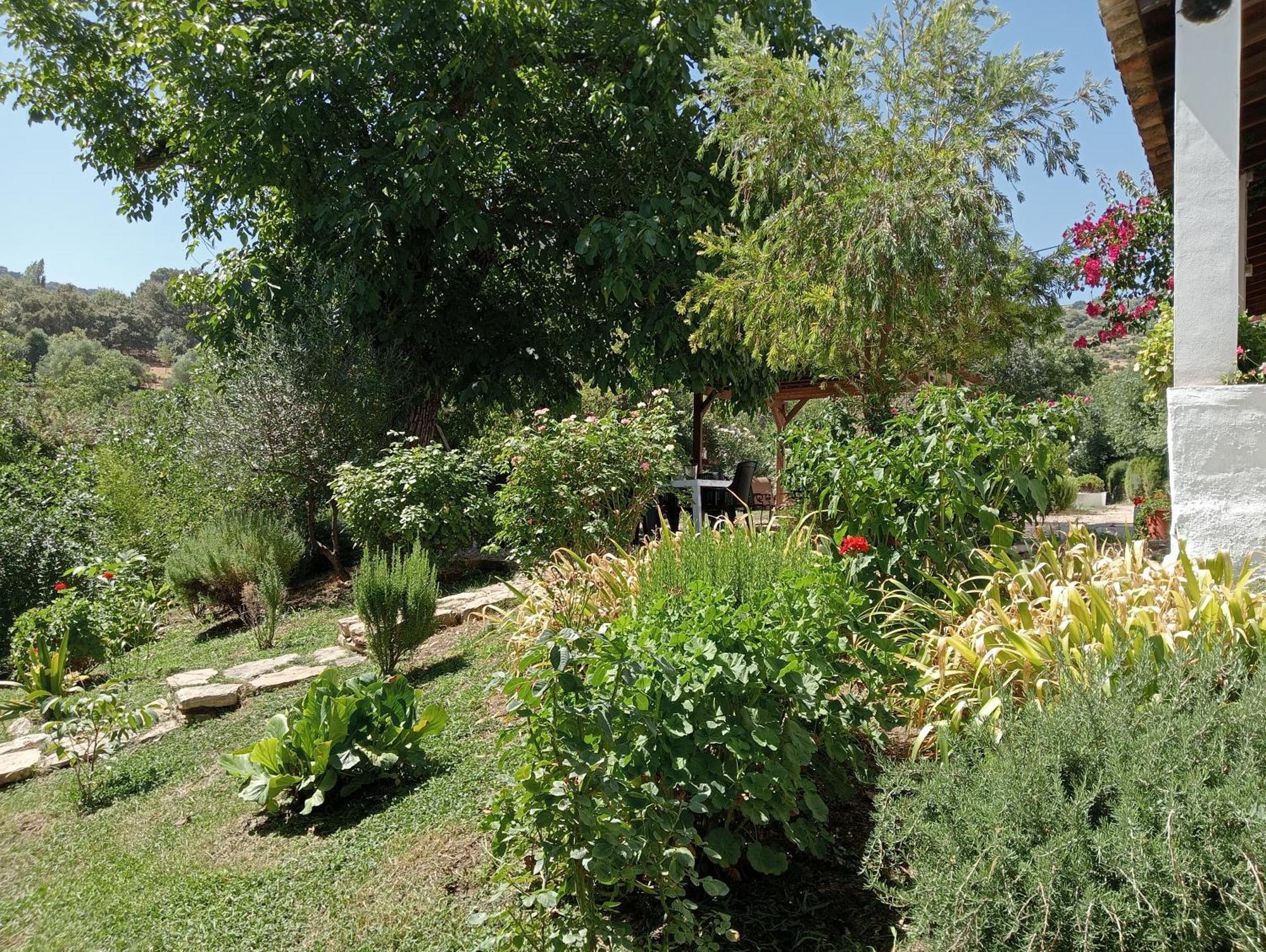 Casa Rural La Maquinilla 格拉茨莱马 外观 照片