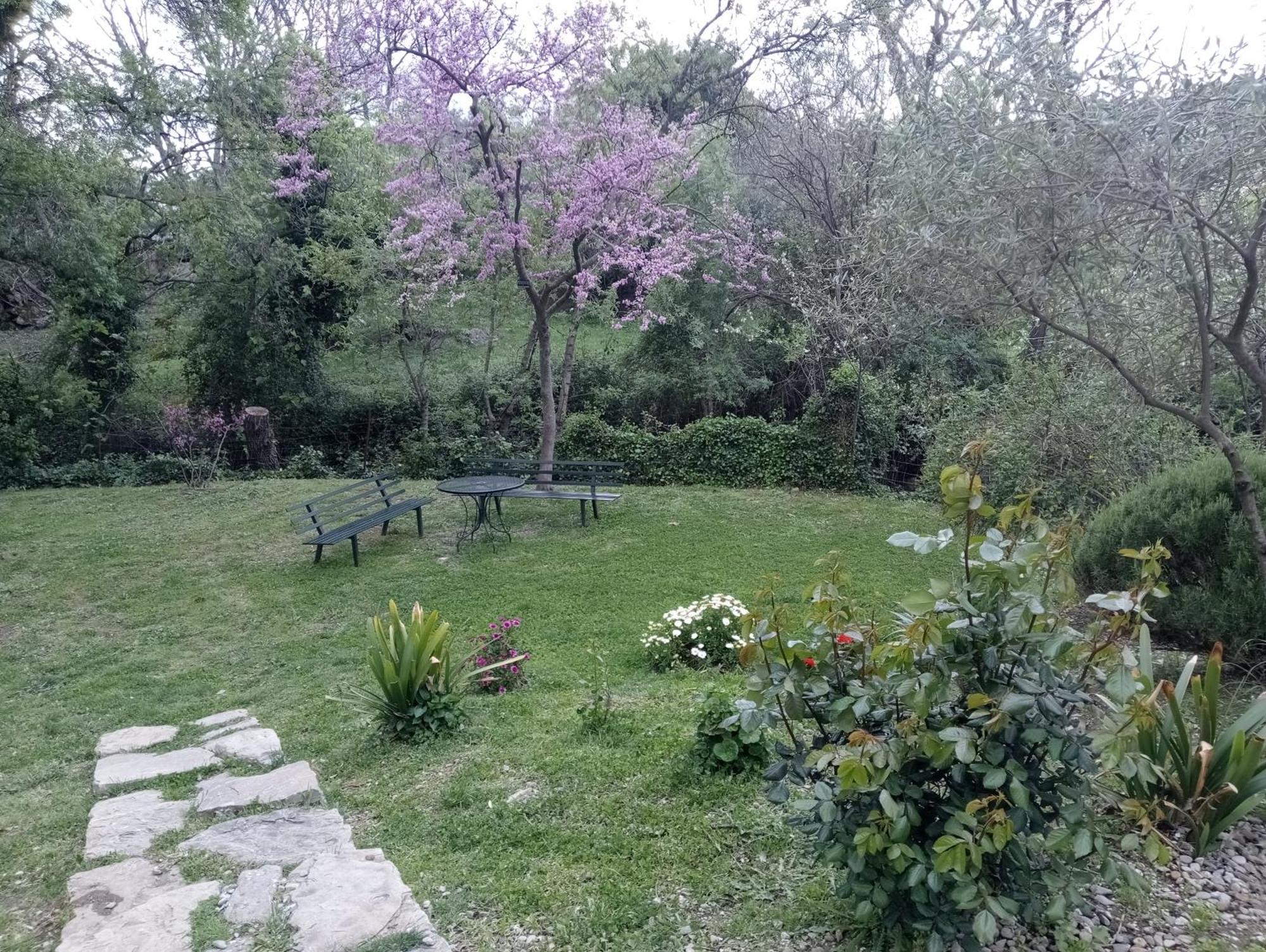 Casa Rural La Maquinilla 格拉茨莱马 外观 照片