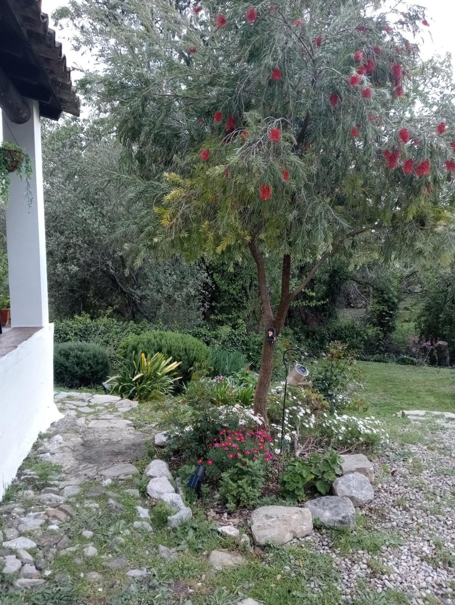 Casa Rural La Maquinilla 格拉茨莱马 外观 照片